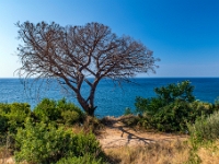 Ulcinj